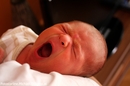 Fotos_Babys