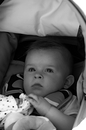 Fotos_Babys