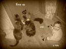 Fotos_Babys