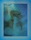 Fotos_Babys