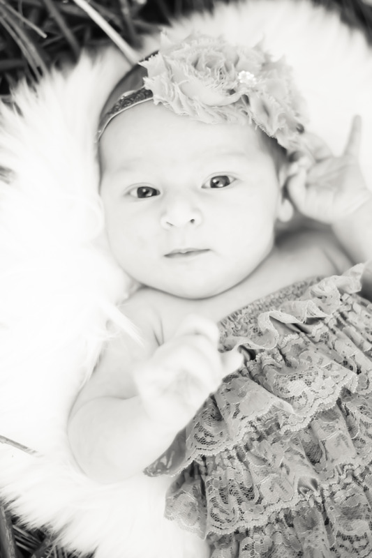 Newborn Part II