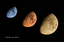 Mond