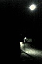 by Night 