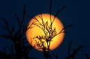 Vollmond