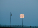 Vollmond am Rhein / Mainz