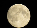 Mond