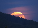 Mond