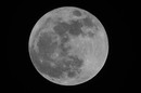 Voll der Mond