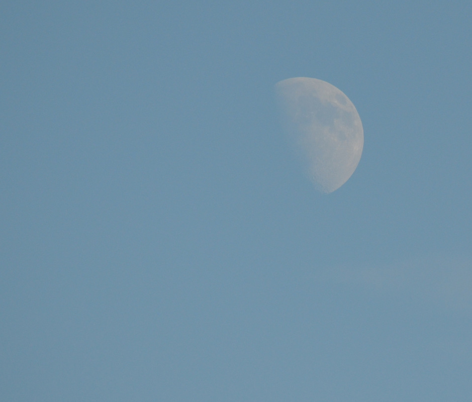 mond am  späten nachmittag
