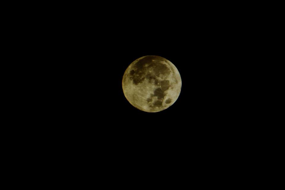 Mond