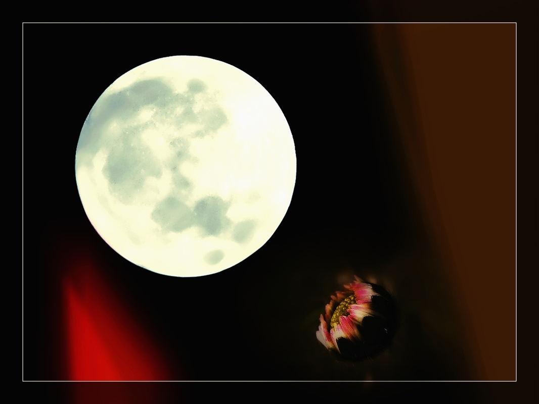 Falling Asleep During the Moon.....