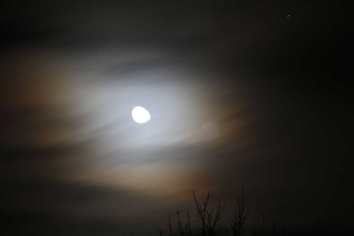 TdT - Mond