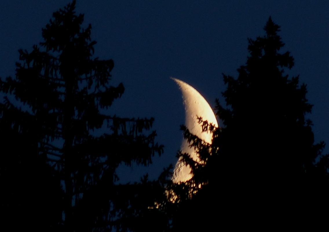 Mond