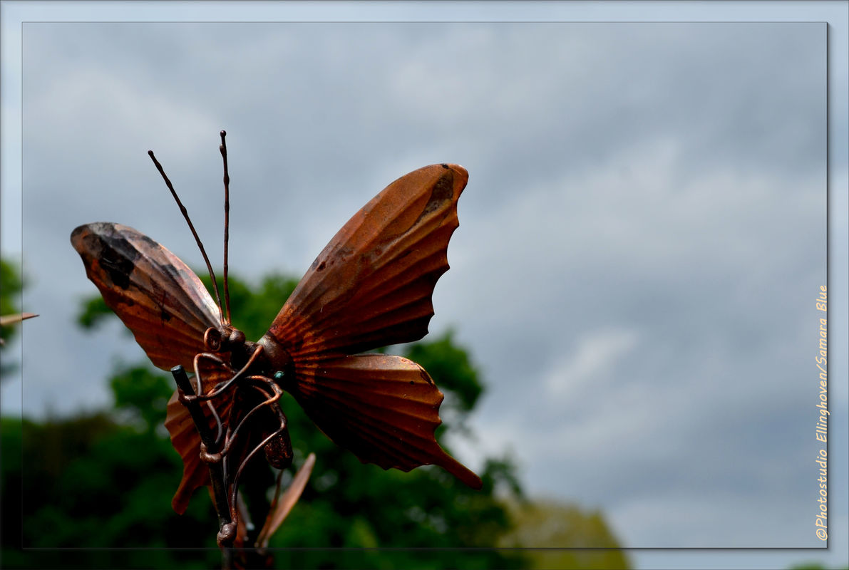 Bereit zum Abflug - Flachsmarkt Krefeld