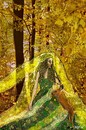 Der Herbst