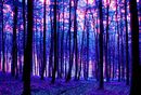 Blau und Rot