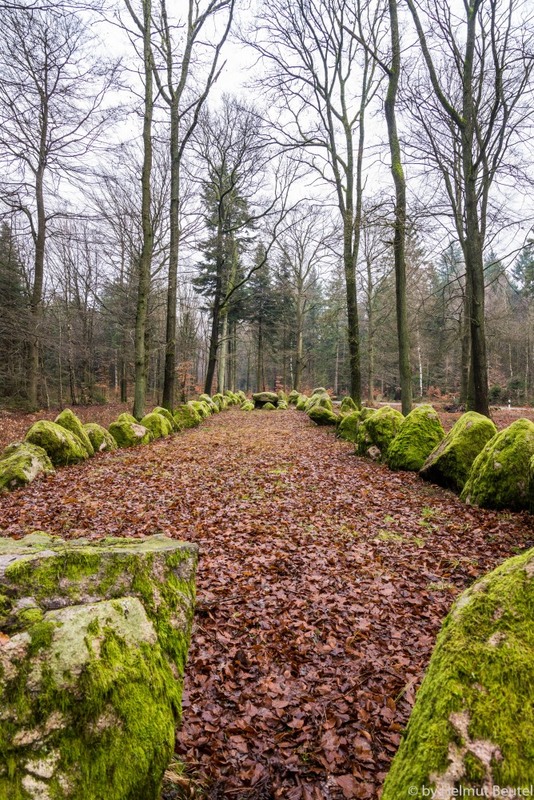 Großsteingrab Kleckerwald 2