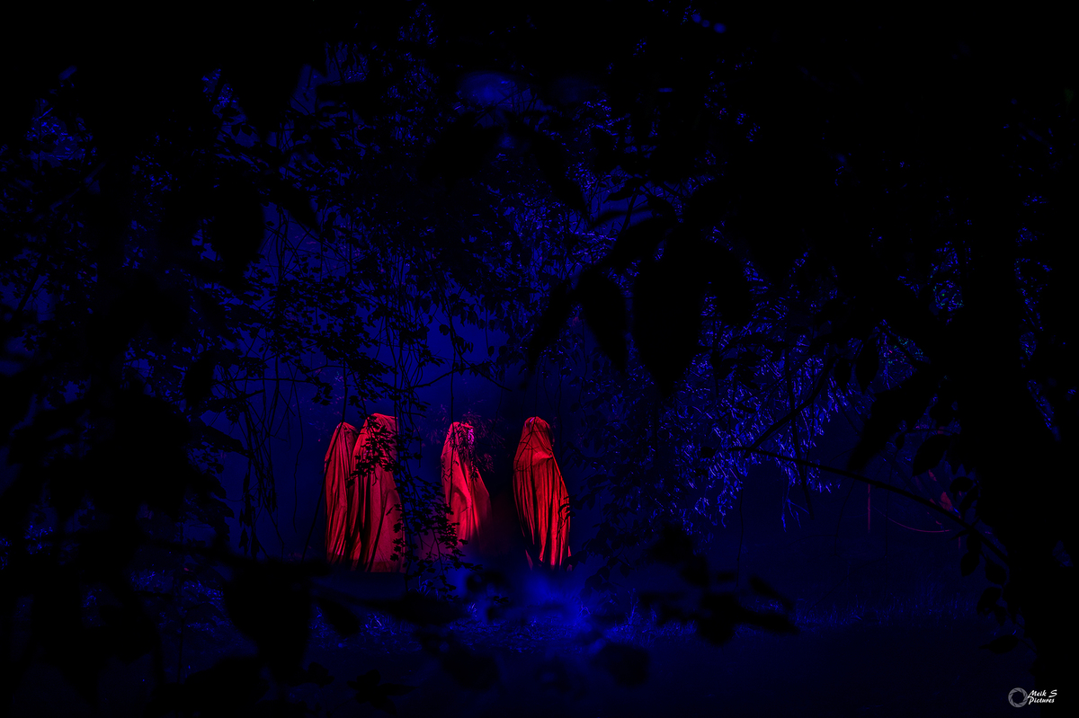 A mystic path in the park