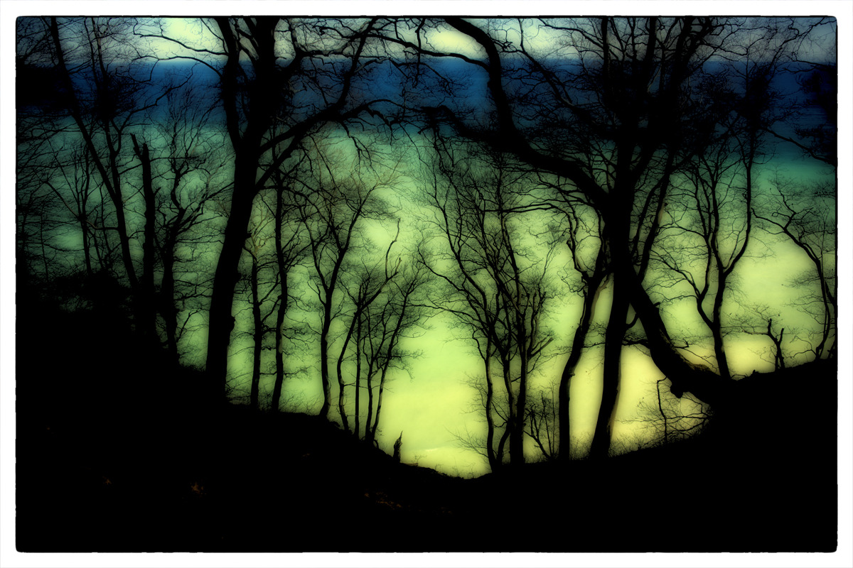 Gespensterwald ...