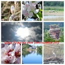 Versuch einer Collage