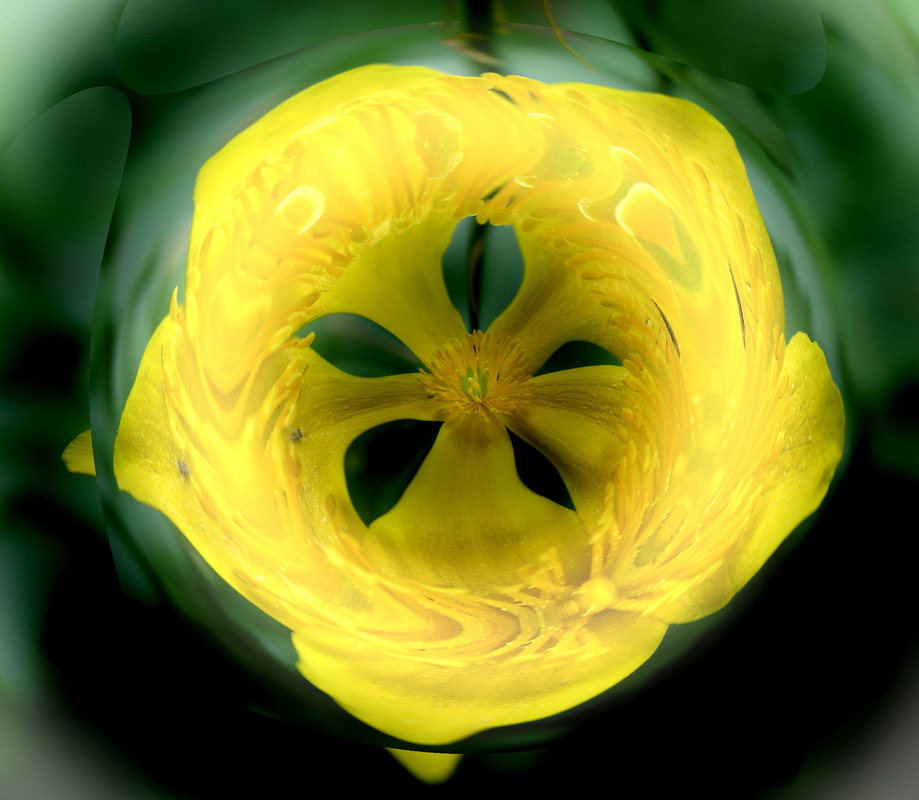 Veränderungen - 5.Teil