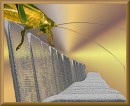 Goldschreck