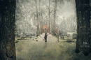 Alone  in snow