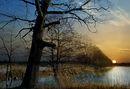 Teichlandschaft in der Lausitz