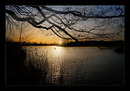 Abend's am Teich (2)