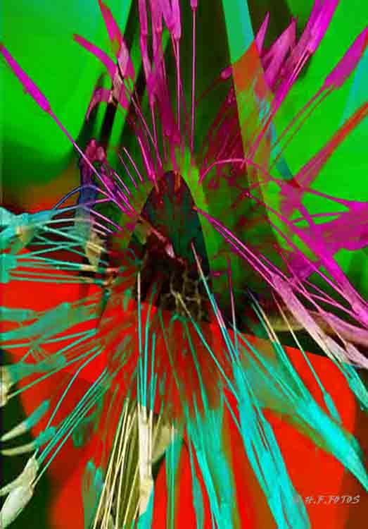 Bunt 