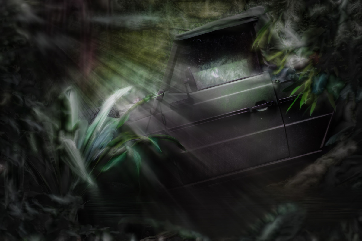 jungle-taxi...........