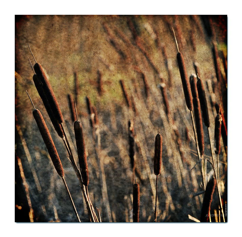 nur eine kleine Spielerei ..