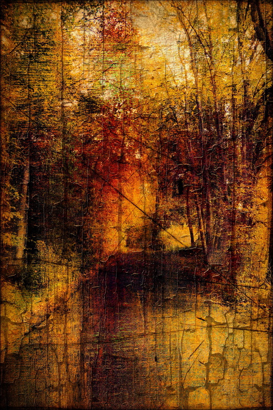 Strasse durch den Herbstwald
