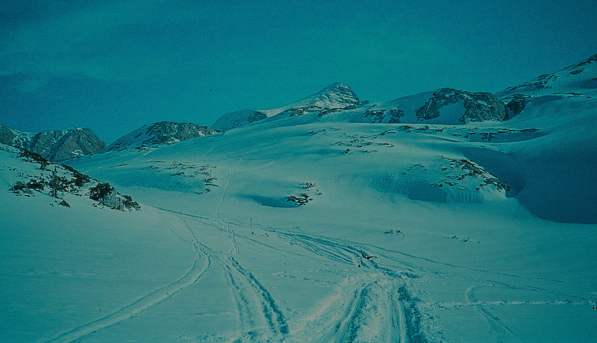 AUF DER HOCHFLÄCHE DES HOHEN DACHSTEINS