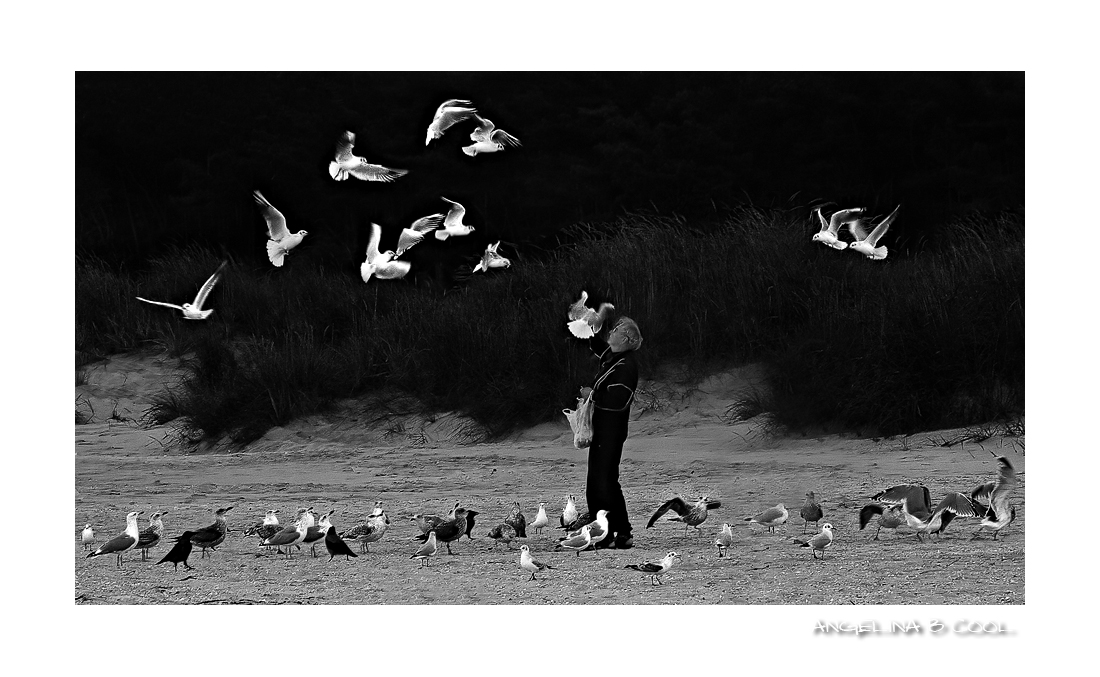 friendship needs no words...