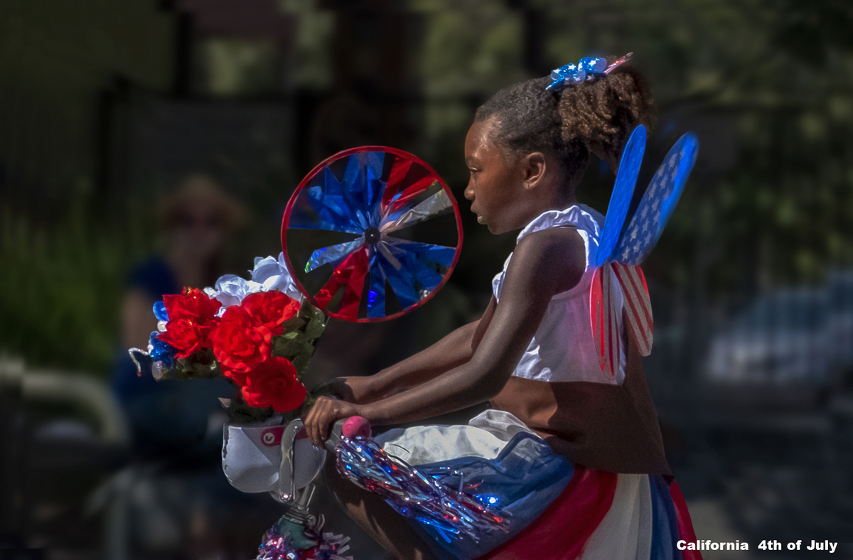 Field Notes of America