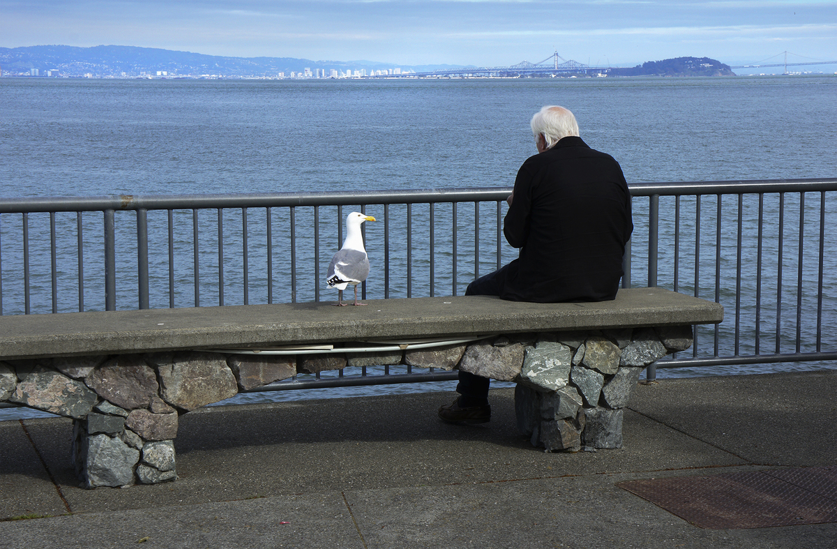 Field Notes from America: San Francisco: Sausalito