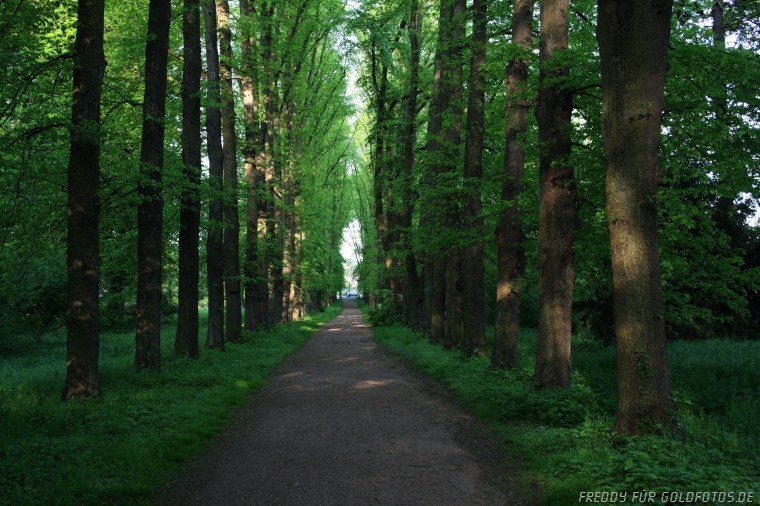 Im Park von Schloss Türnich