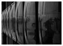 Fotos_Flächen
