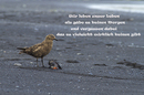 Gedanken