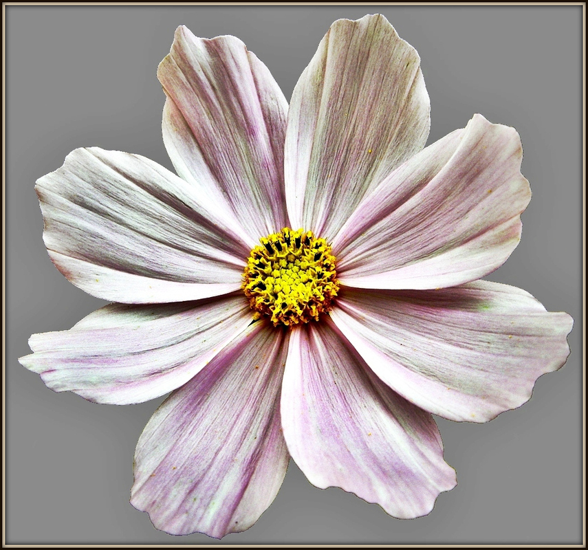 Für die Ewigkeit festgehalten