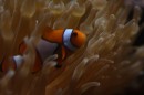 Fotos_Witzige Bilder