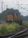 Seltene Besucher in Viersen