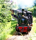 Einfahrt in Elmstein