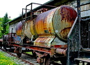 Rost