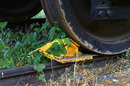 Natur und Bahn