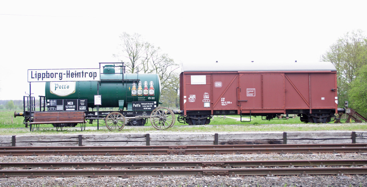 Hier gehts zu den Störchen