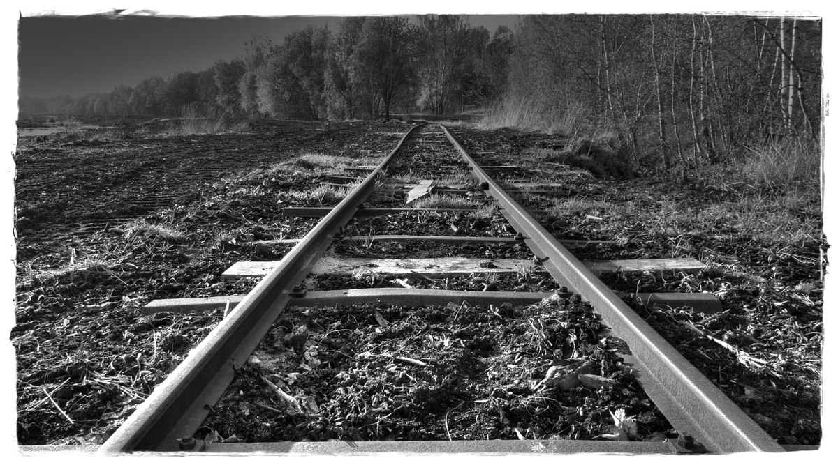 Mit der Bahn durch das Moor
