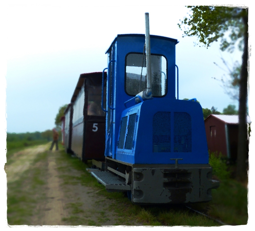 Moorbahn im Uchter Moor