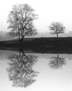 SPIEGELBILD